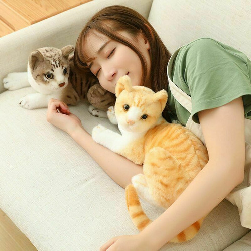 Peluche realistico gatti