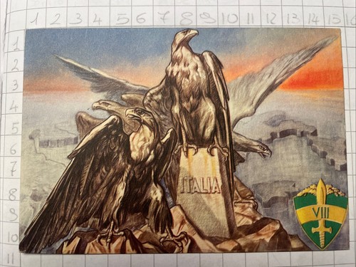 Cartolina guardia alla - guardia,