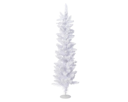 Albero slim pencil pine - pencil,