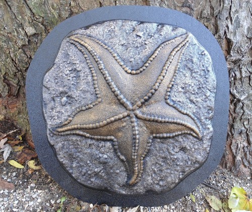 Stampo stella marina gradino