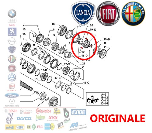 Nottolino ingranaggi - 3,