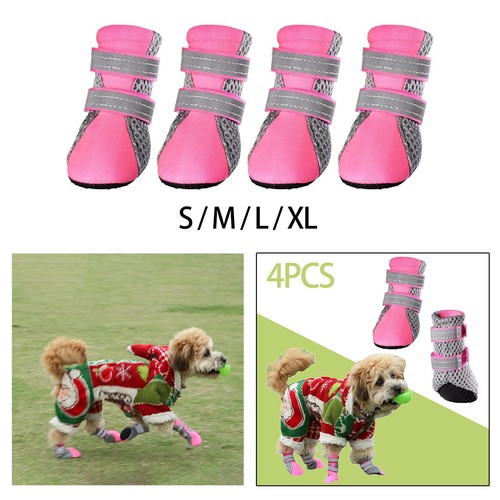 Pezzi scarpe per cani - pezzi,