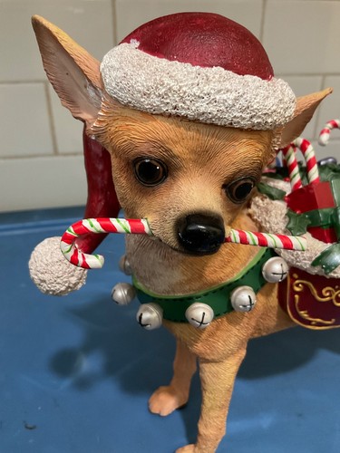 Danbury mint chihuahua di - chihuahua,