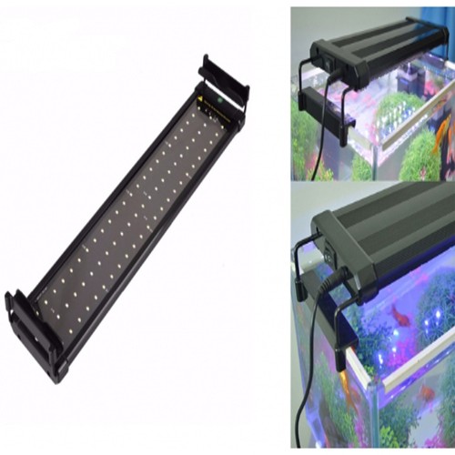 Lampada 20w luce bianca blu - luce,