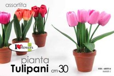 Pianta piantina finta tulipani - pianta,