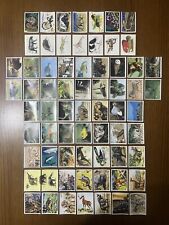 Mix 67 Animals + Mammiferi + Animali Preistorici Panini Senza Doppie
