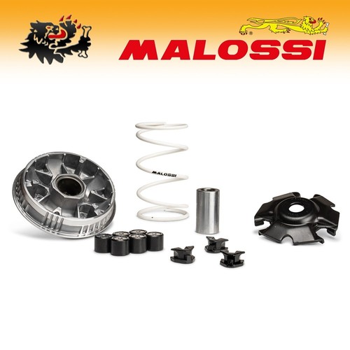 5119860 malossi variatore - 5119860,