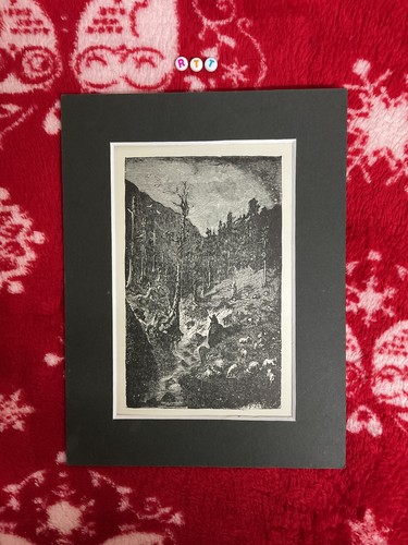 Rara stampa artistica