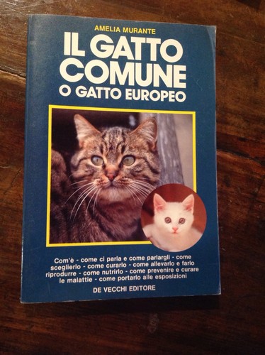 Murante gatto comune o - murante,