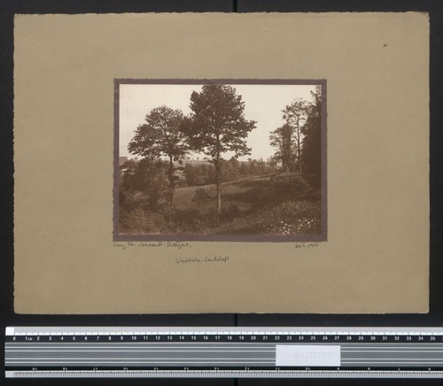 Fotografia georg friedrich - fotografia,