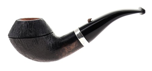 Pipa anatra dalle uova - l'anatra,