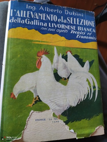 Dubini allevamento la - l'allevamento, e
