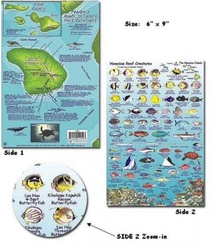 Franko maps lanai - -, reef