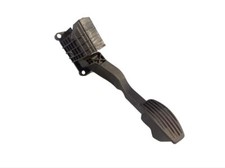 Gas Pedal for Fiat 500 (312)