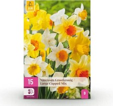 NARCISI A COPPA PROFONDA MISTO CONF. DA 5 BULBI 12/14 CM ELAN