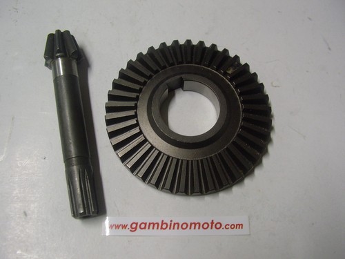 Coppia conica motozappa pasbo - coppia,