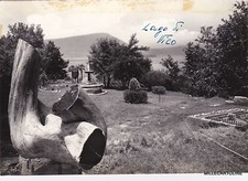 # RONCIGLIONE: LAGO DI VICO -