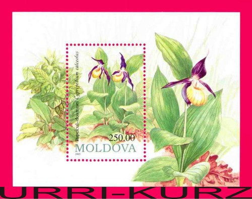 Moldavia 1993 flora piante - 1993,