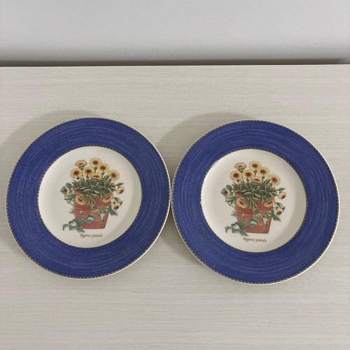 Wedgwood sarah garden - garden, di