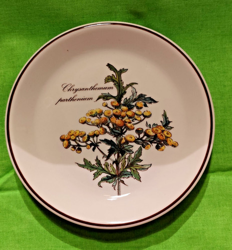 Piatto parete villeroy - da,