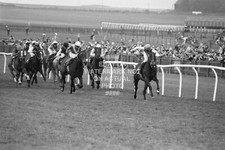DANCING BRAVE 2000 GHINEE 1986