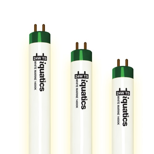 Lampadina fluorescente - x,