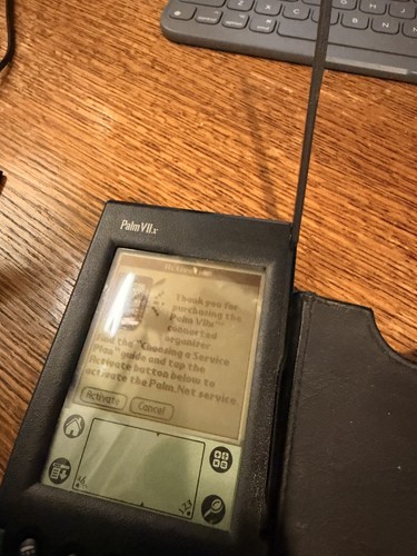 Vintage palm viix - vintage,