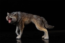 Earth Story Maschio Dire Wolf