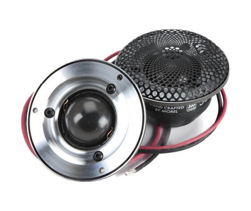 Morel supremo piccolo lotus - morel,