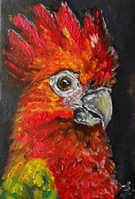 Dipinto pappagallo uccellino