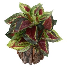  Piante Finte Da Interno