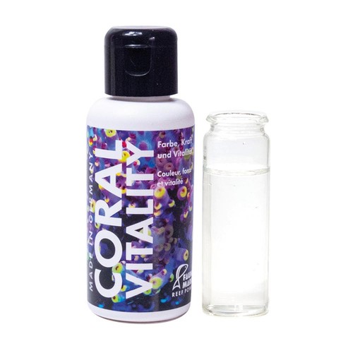 Fauna marin coral vitality - fauna,