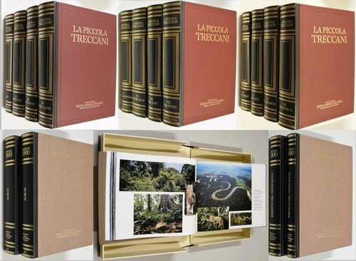 Piccola treccani dizionario - piccola,