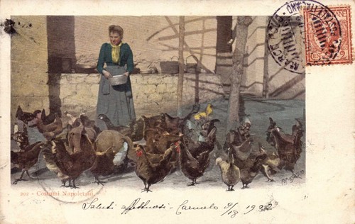 1902 cartolina annullo - -,