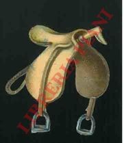 Ippica sella con - ippica, staffe.