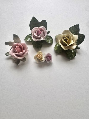 Rose porcellana kaiser - 4,