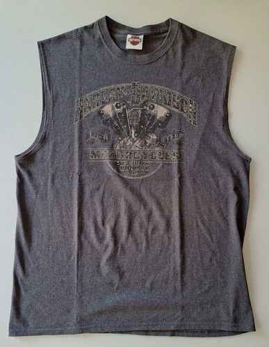 Harley davidson knuckle - harley-davidson,