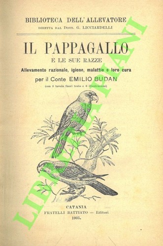 Budan emilio pappagallo e - budan,