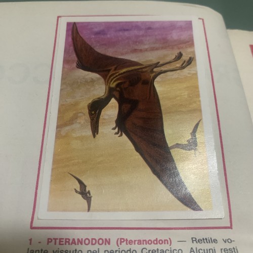 Figurina animali ed - n.1,