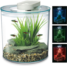 360 Acquario Con Telecomando a