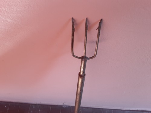 Fiocina polpi granchi - fiocina,