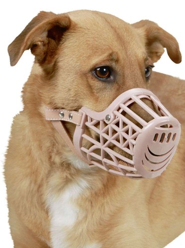 Museruola per cane taglia