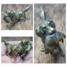 Insolito vecchio cane da