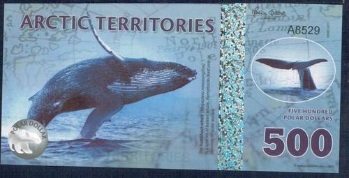 Artico 500 polar dollari - artico,