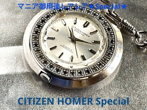 Citizen homer special - citizen,