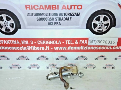 Radiatore scambiatore egr - radiatore,
