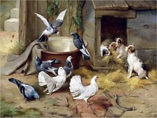 Piastrella accento cortile cuccioli piccioni murale cucina parete backsplash marmo ceramica