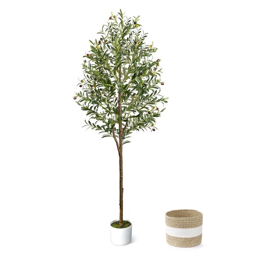 Ulivo artificiale 6ft - 6ft,