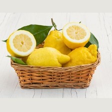 Limoni della costiera non - della,
