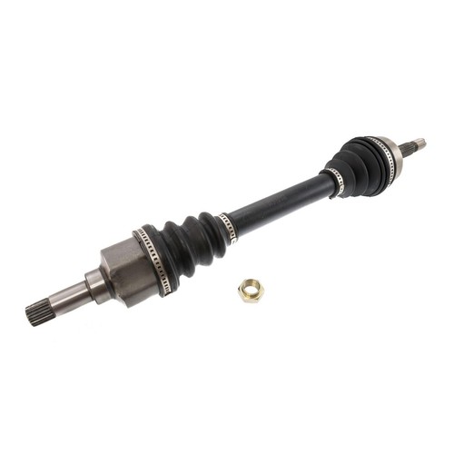 303199 set albero - ms, 303199-set-ms